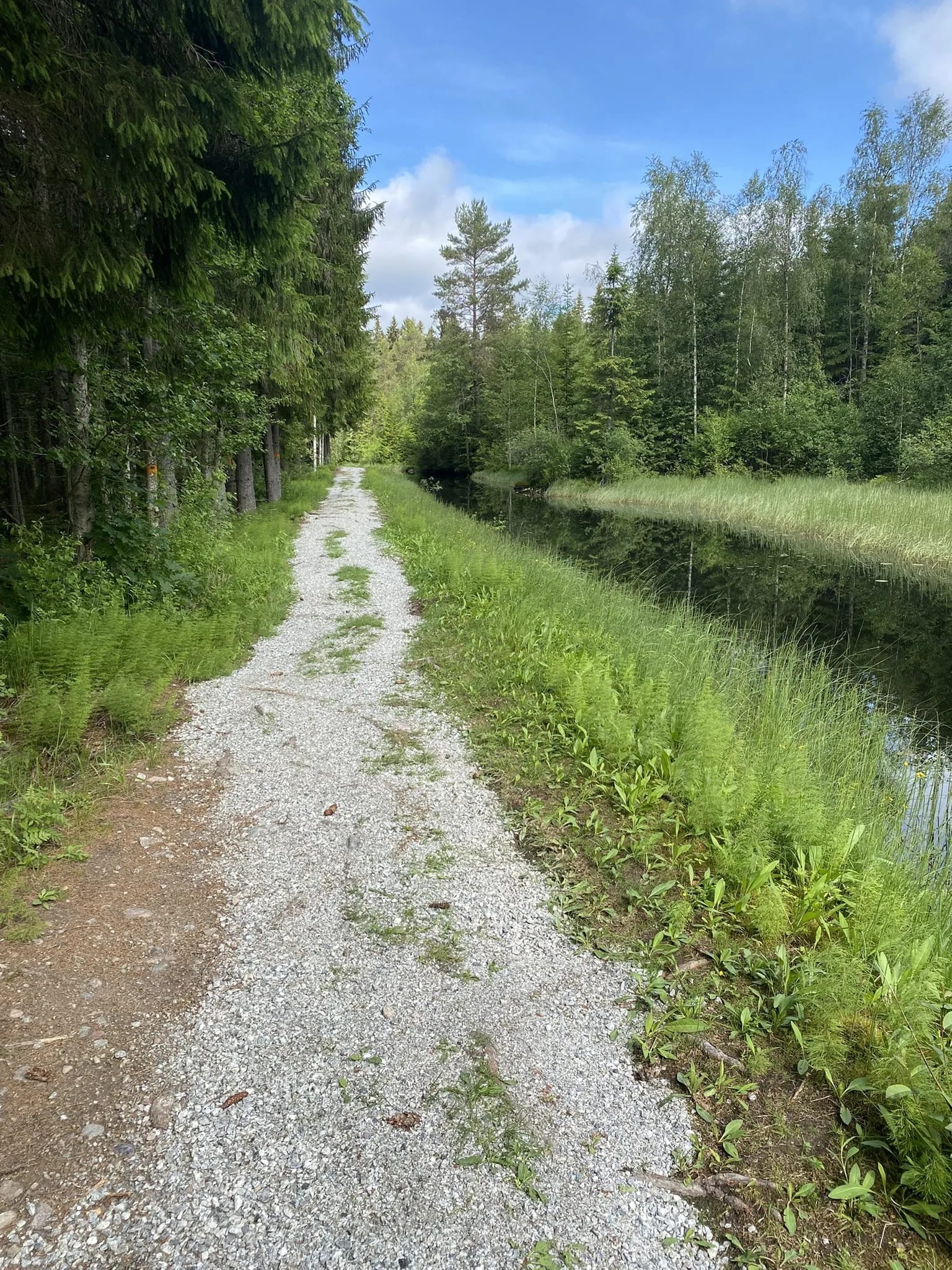 Hiking and Cycling